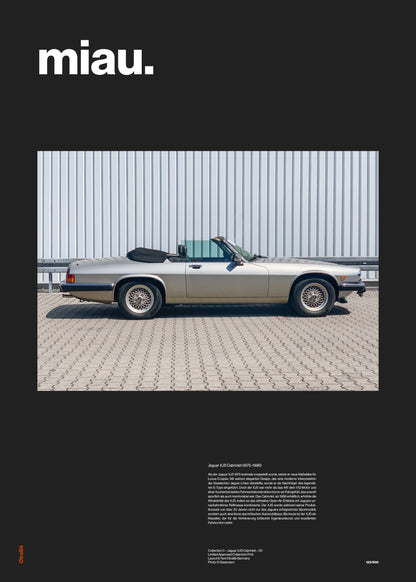Collection C – Jaguar XJS Cabriolet – 03
