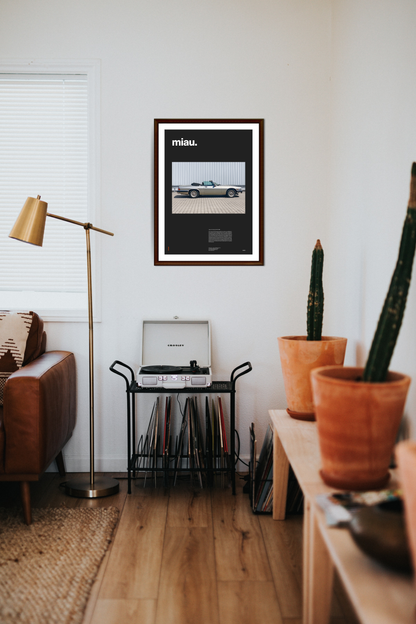 Collection C – Jaguar XJS Cabriolet – 03